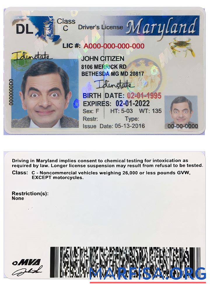 Downloadable USA Maryland driving license 2003 2016 real example